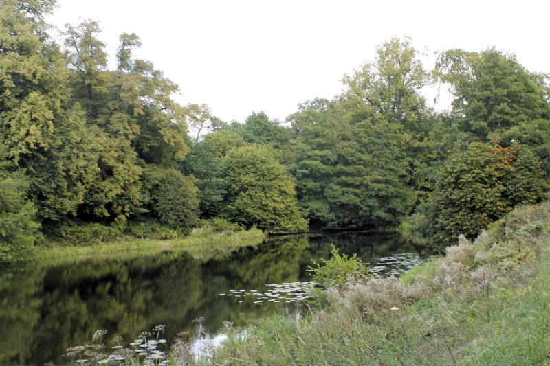 Mere Pond Mere Pond